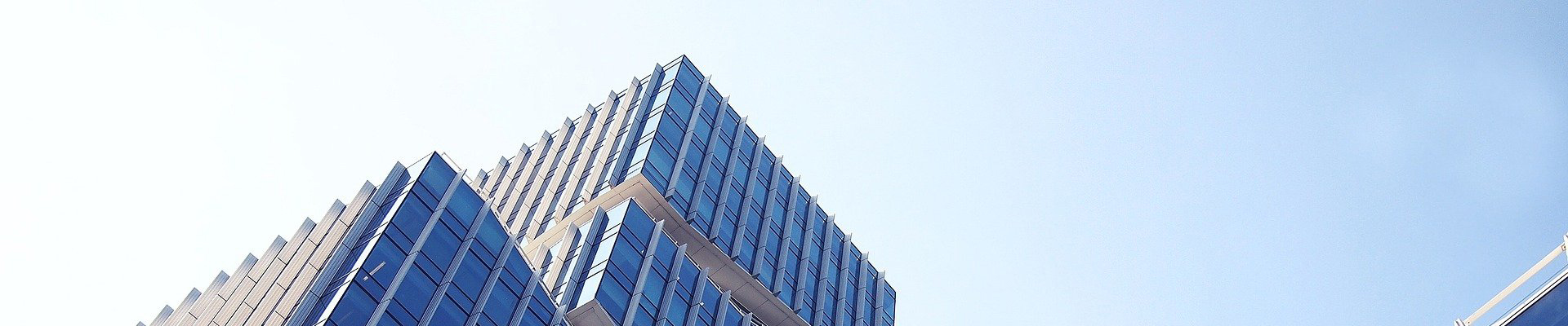 廣州壹元展覽策劃有限公司的發(fā)展歷程圖片